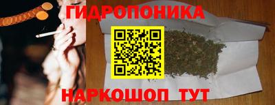 крисы Бузулук