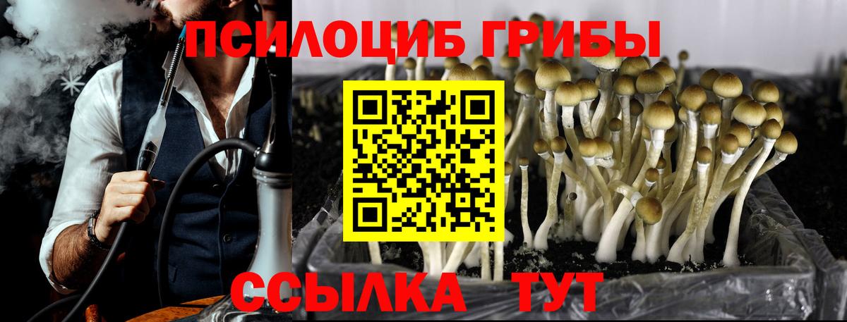 Галлюциногенные грибы Psilocybe  Вход с VPN  Смоленск 