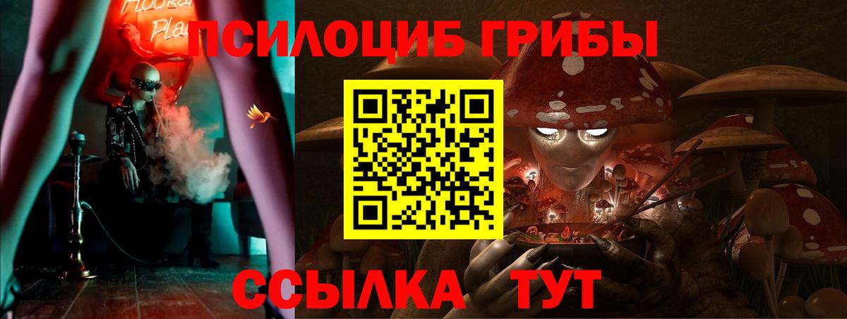 Галлюциногенные грибы Psilocybine cubensis Смоленск